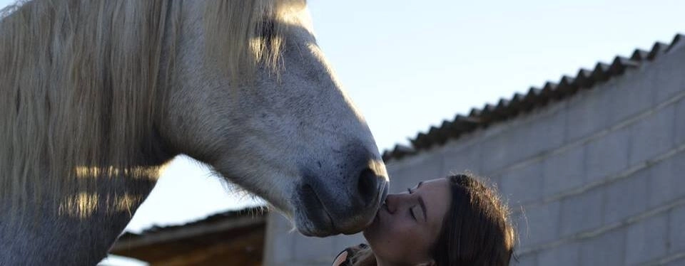 Nos cours d'équitation